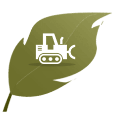 leaf1.png