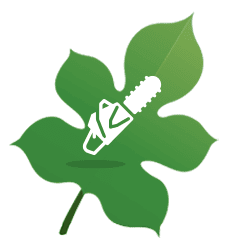 slashing-icon.png