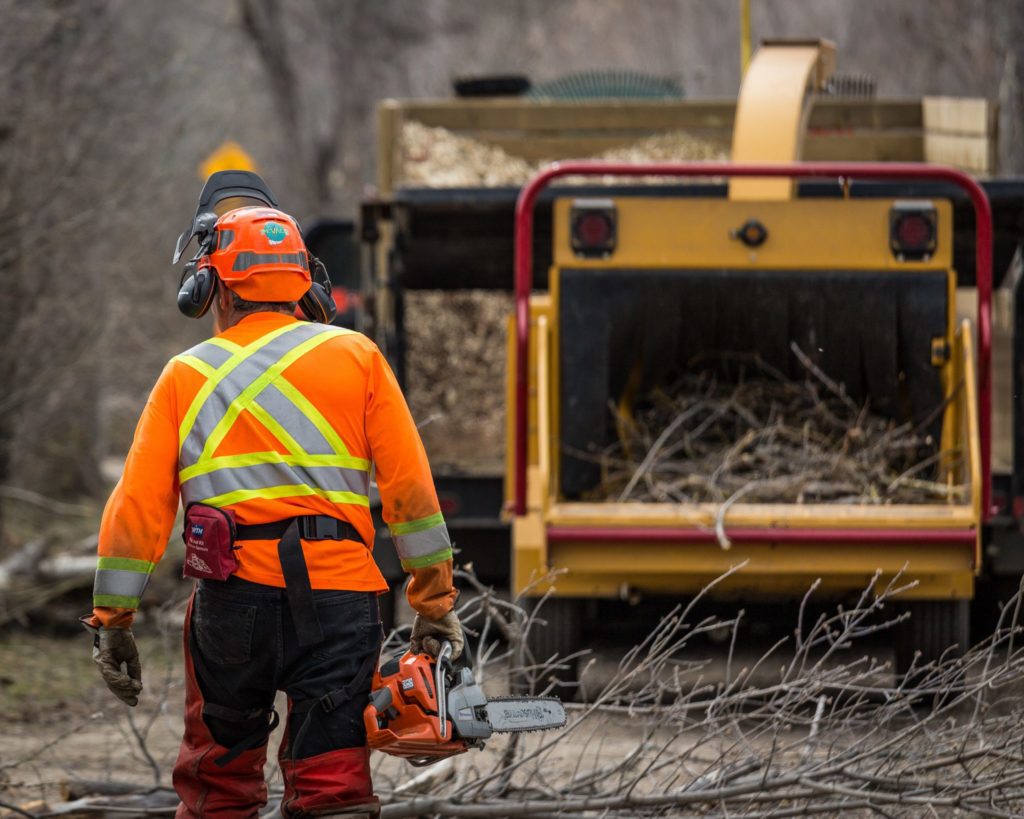 Tree Removal Saskatchewan