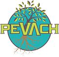 Pevach Corp Logo