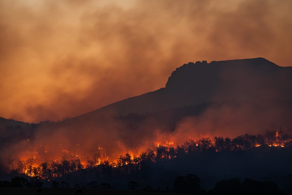 Albert Fire Ban System