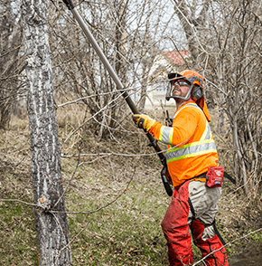 clearing-municipal