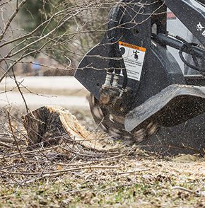 stump-removal-1