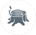stumps-icon