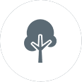 tree-icon