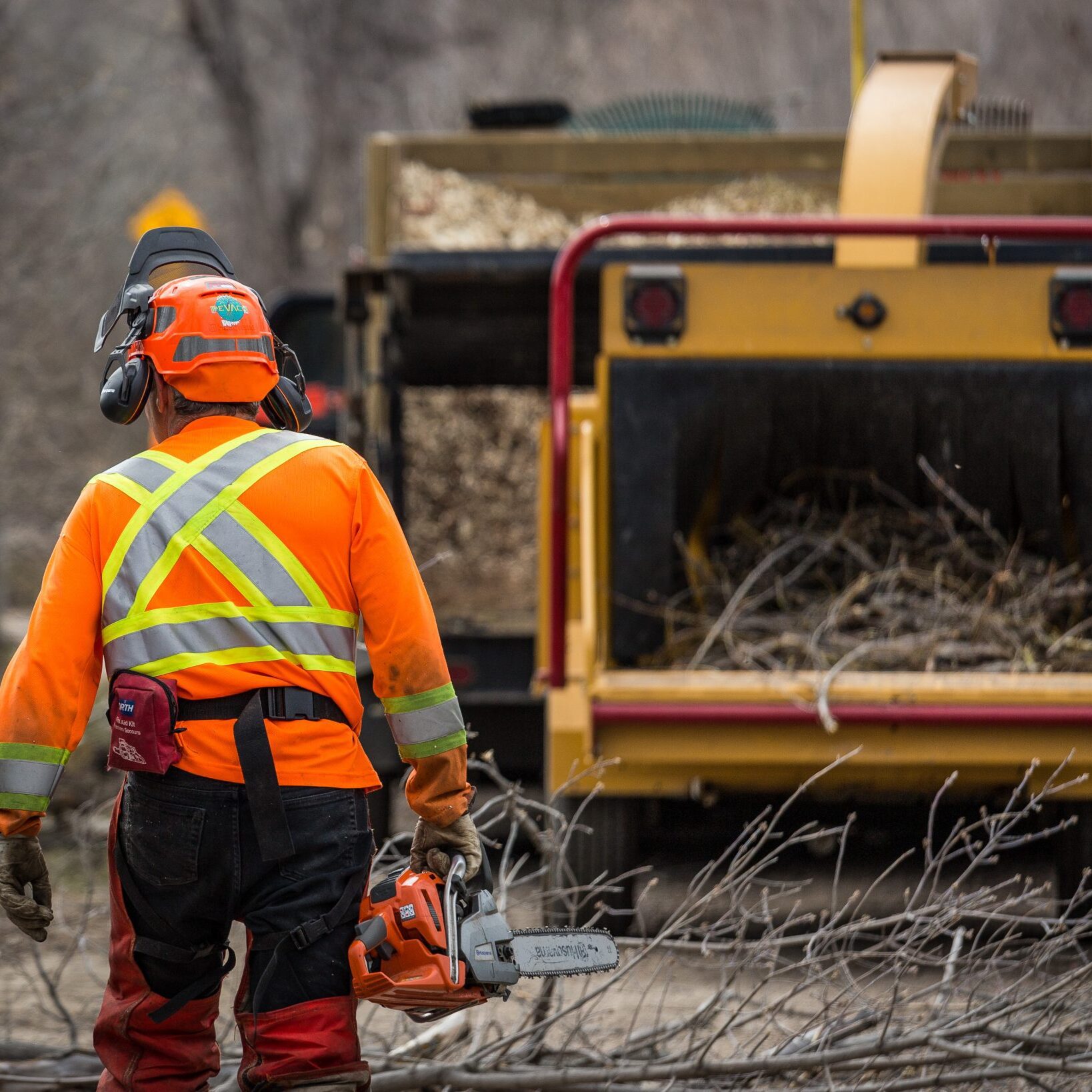 Tree Removal Saskatchewan