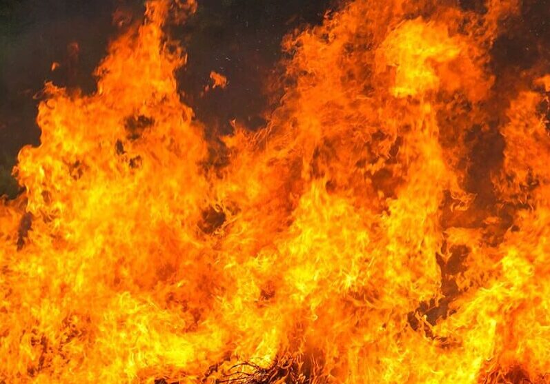 stubble-burning-square-9c7bc466e53adc170fc1138f52d56869-6198142ead91f